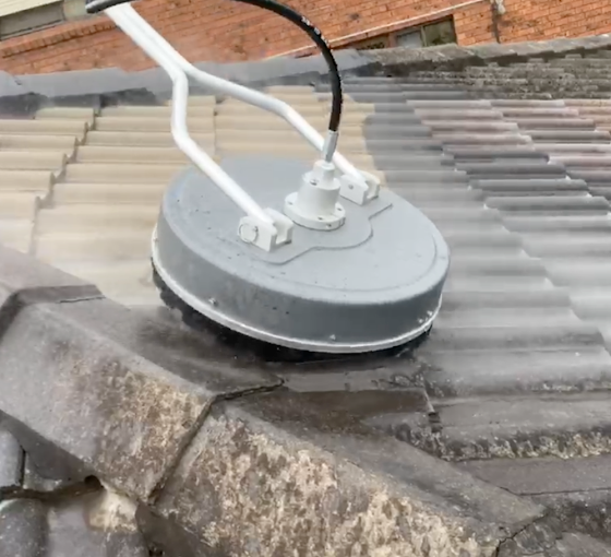 Roof cleaning services